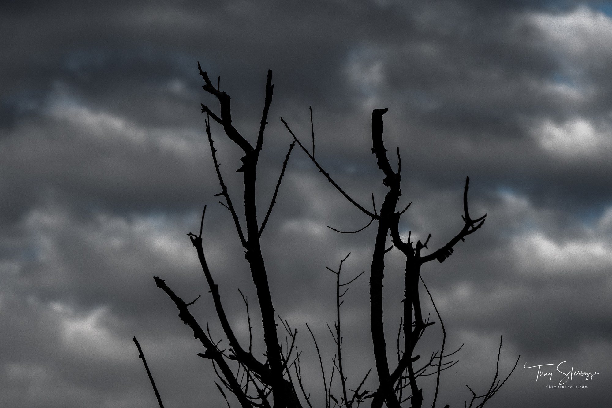 YP-7R305318-20190907.jpg