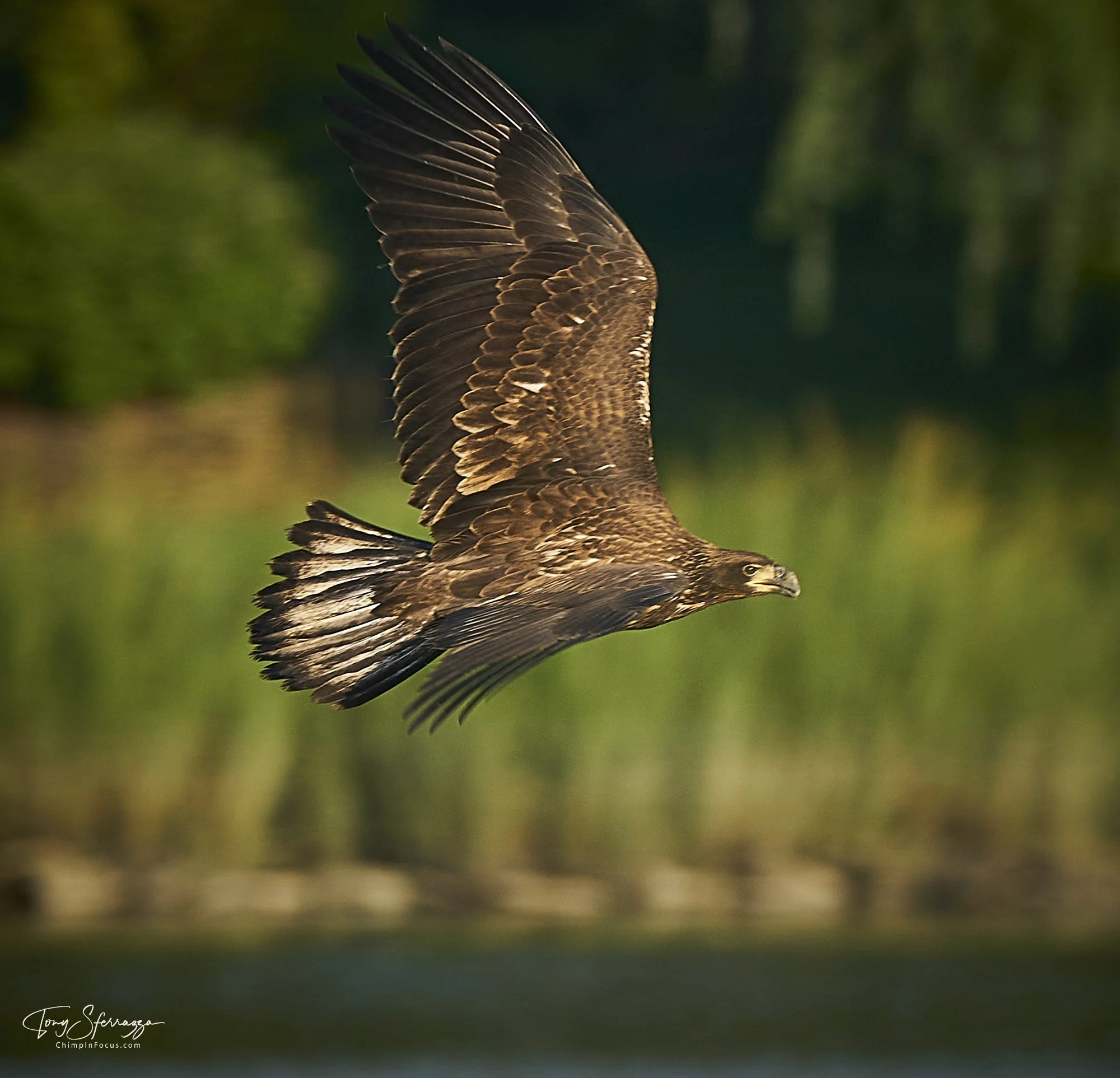 YP-A9204075.jpg