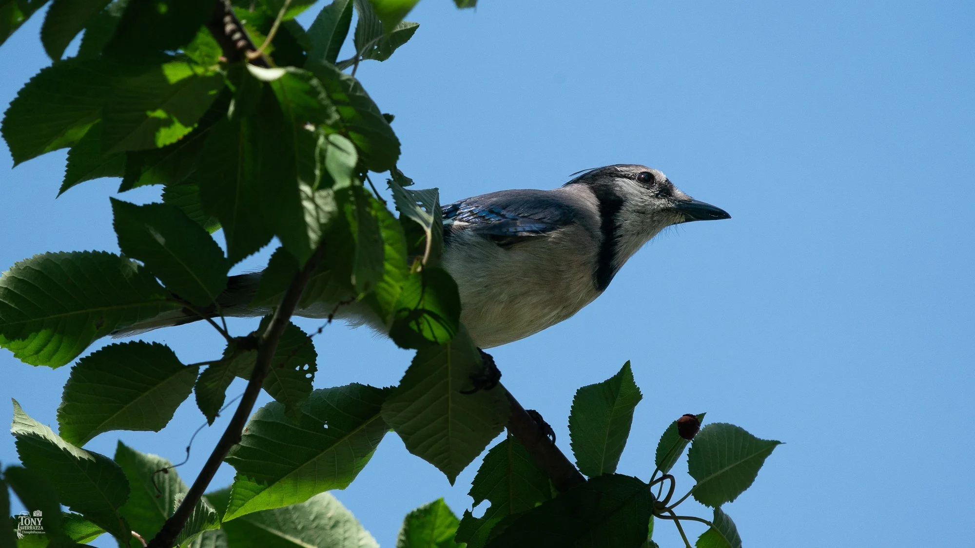 YP-A9204291-June 19, 2025.jpg