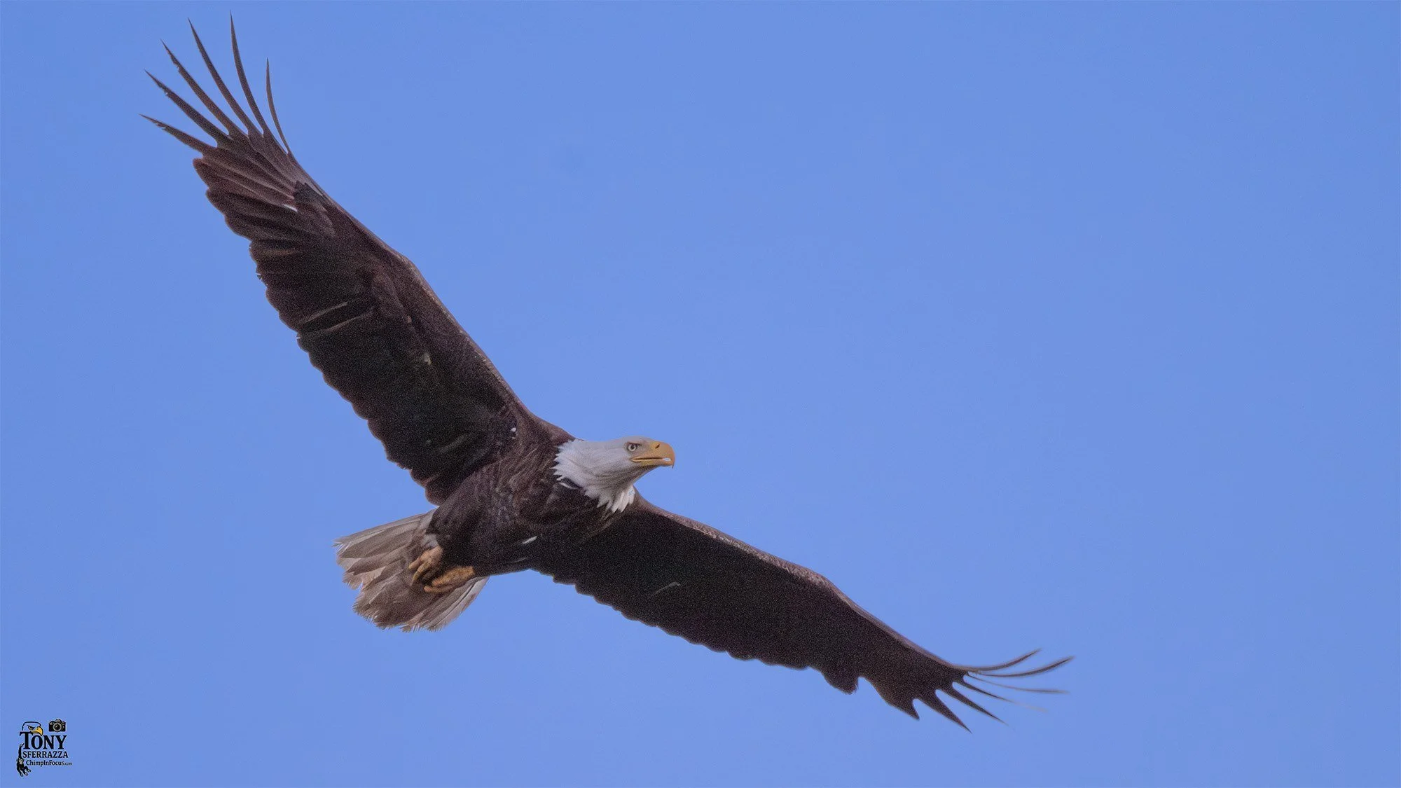 YP-NZ9_5781.jpg