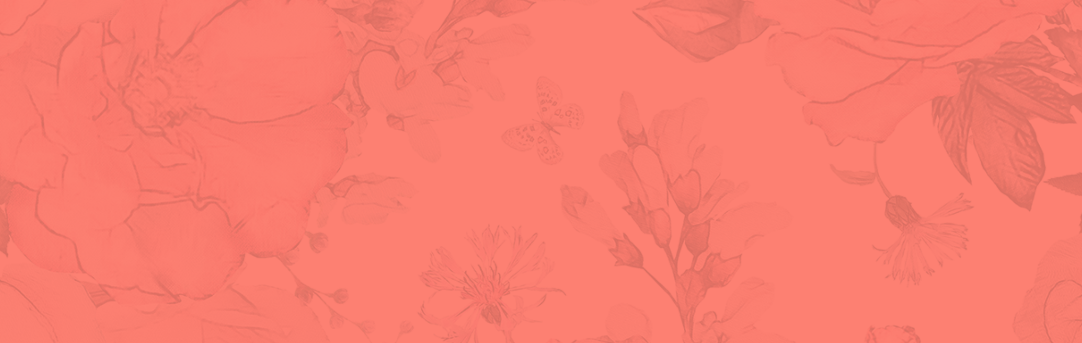 Screen Shot 2018-01-01 at 11.28.29 AM.png