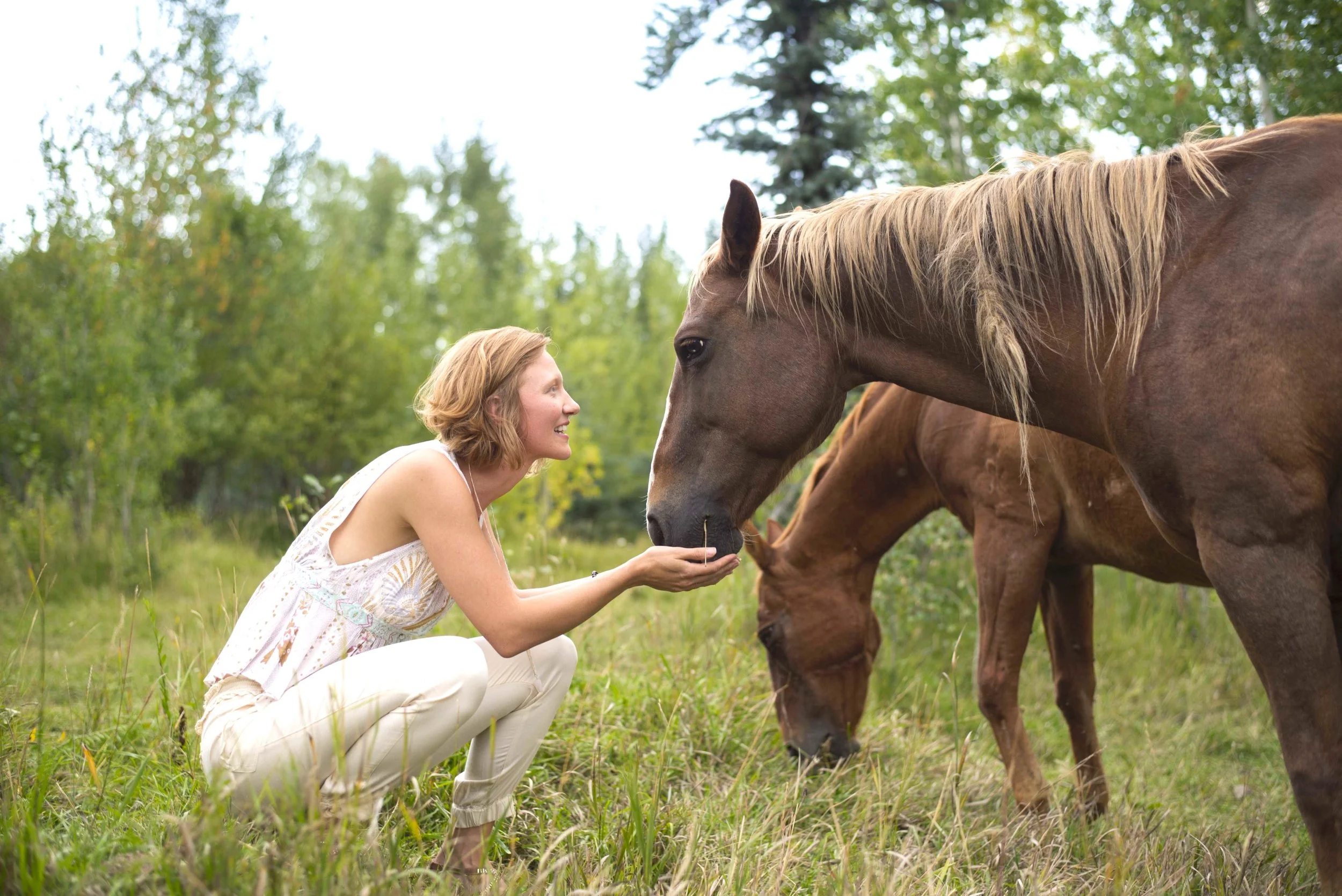 The Key To Making Your Dreams Come True: Community