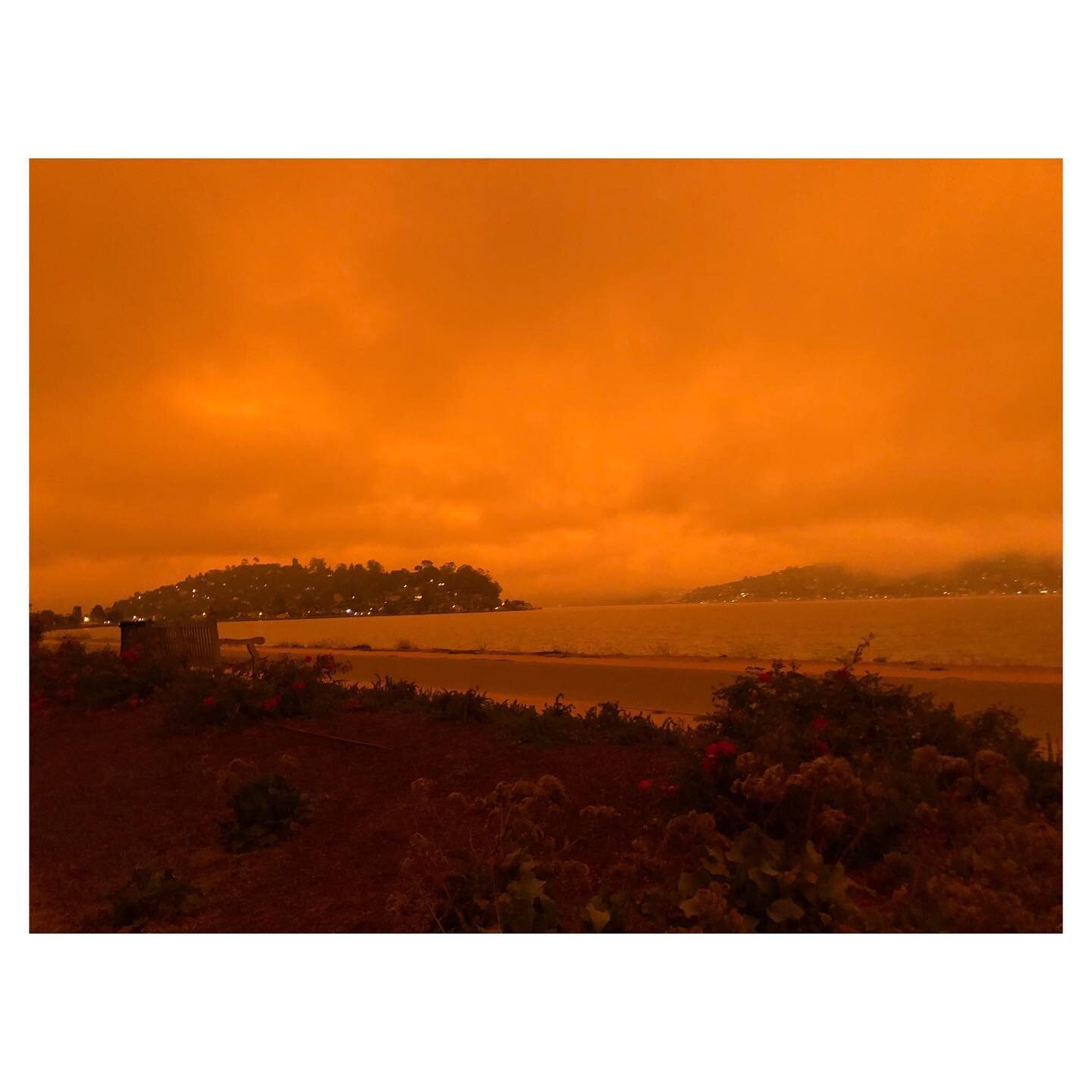 My heart is with all of those in California right now 🤍