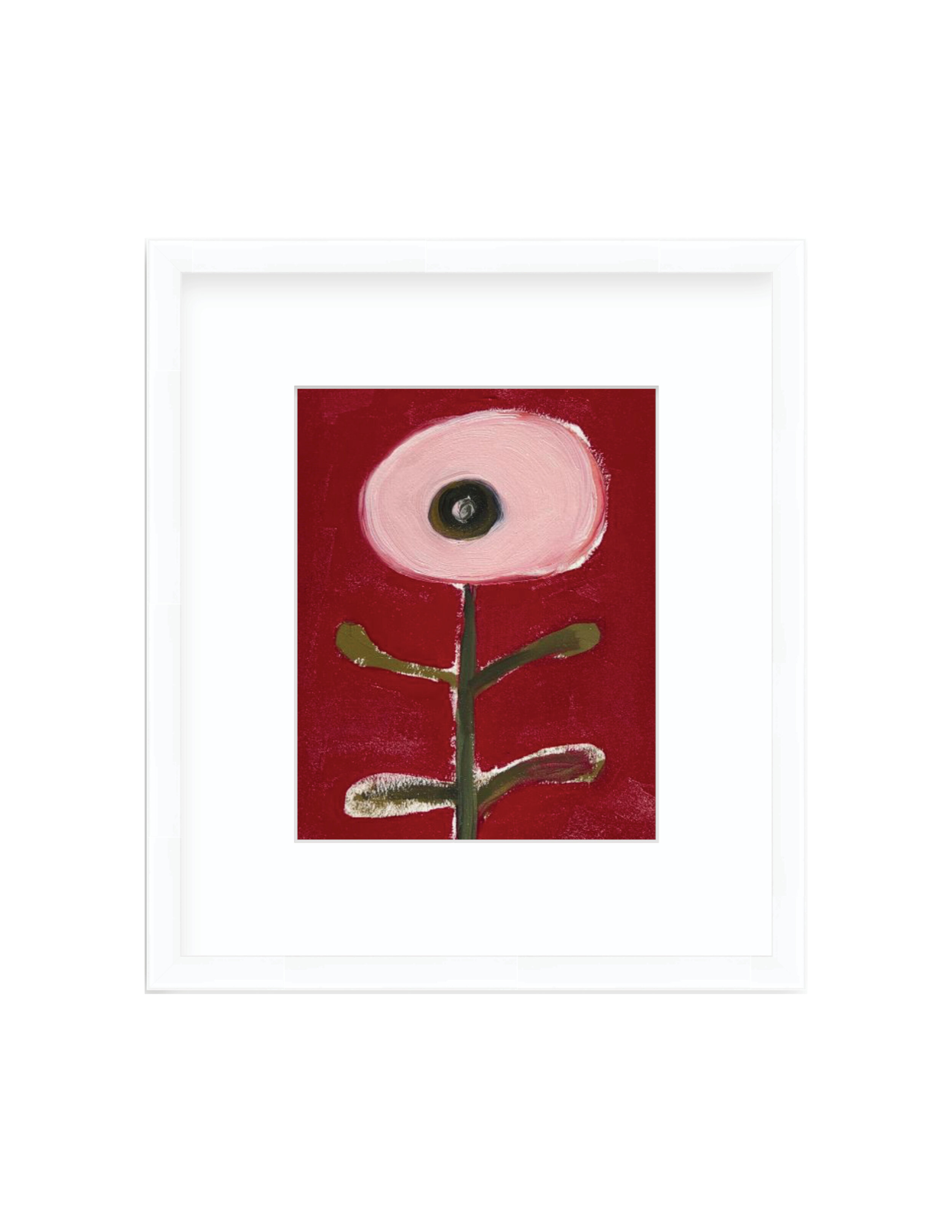 English Poppy