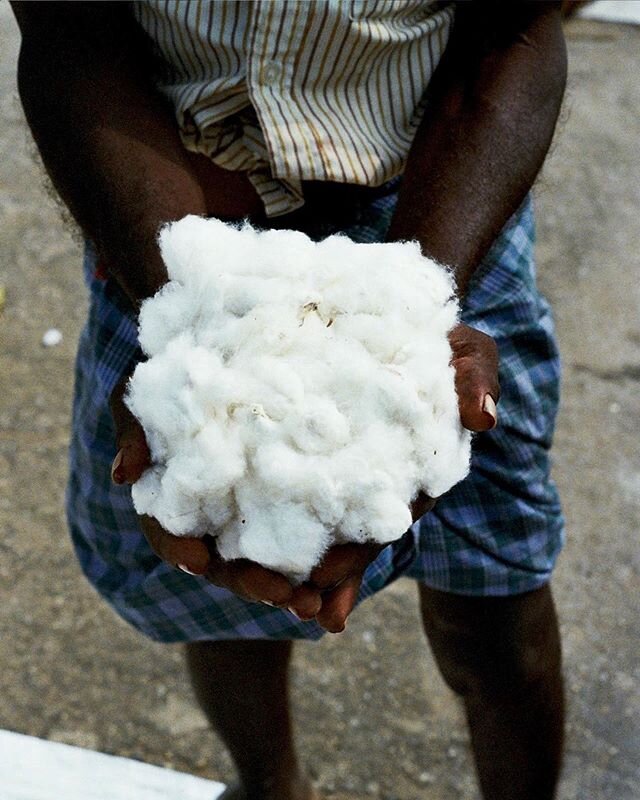 Regenerative cotton. Grown with love in a way that respects people, planet, and process.