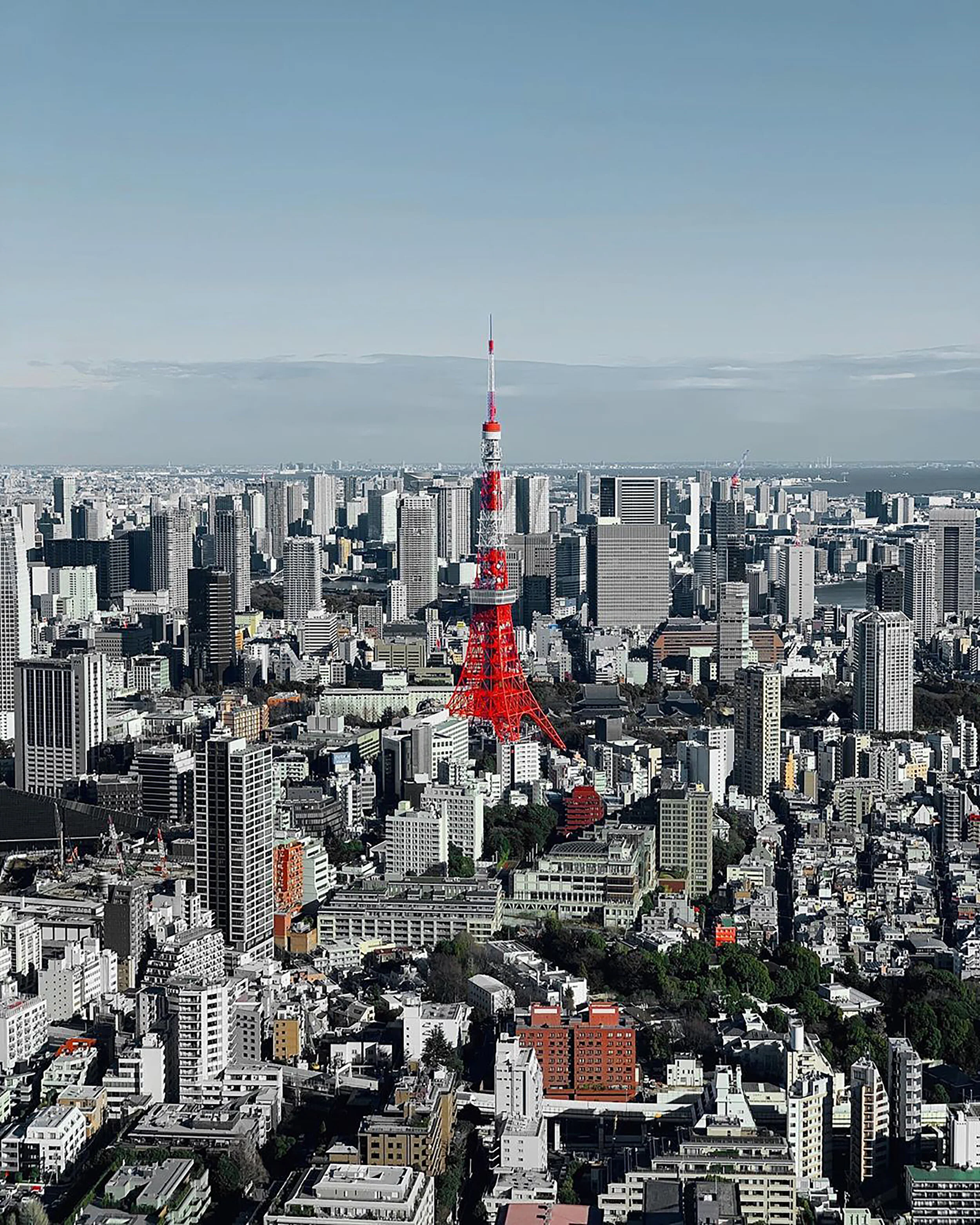 Tokyo Tower.jpg