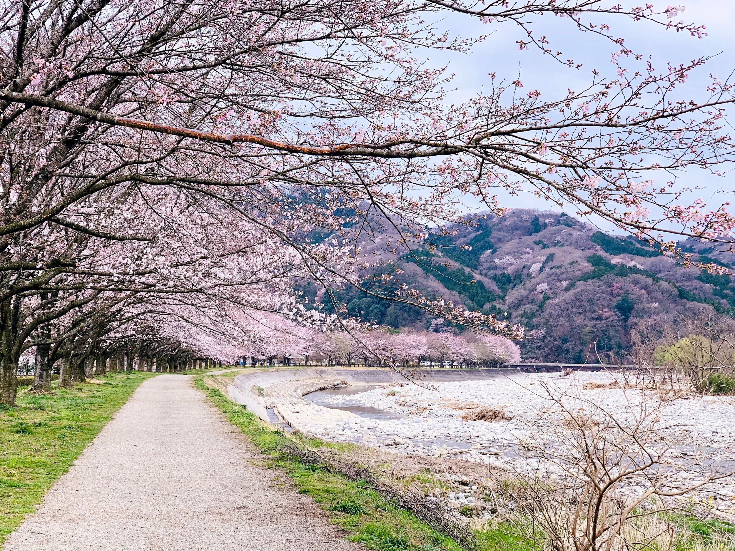 akira-deng-gNZ6MHqtsLY-unsplash.jpg