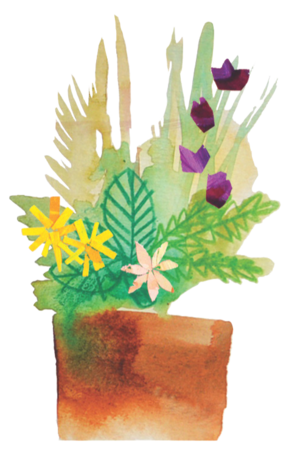 cute+plant.png