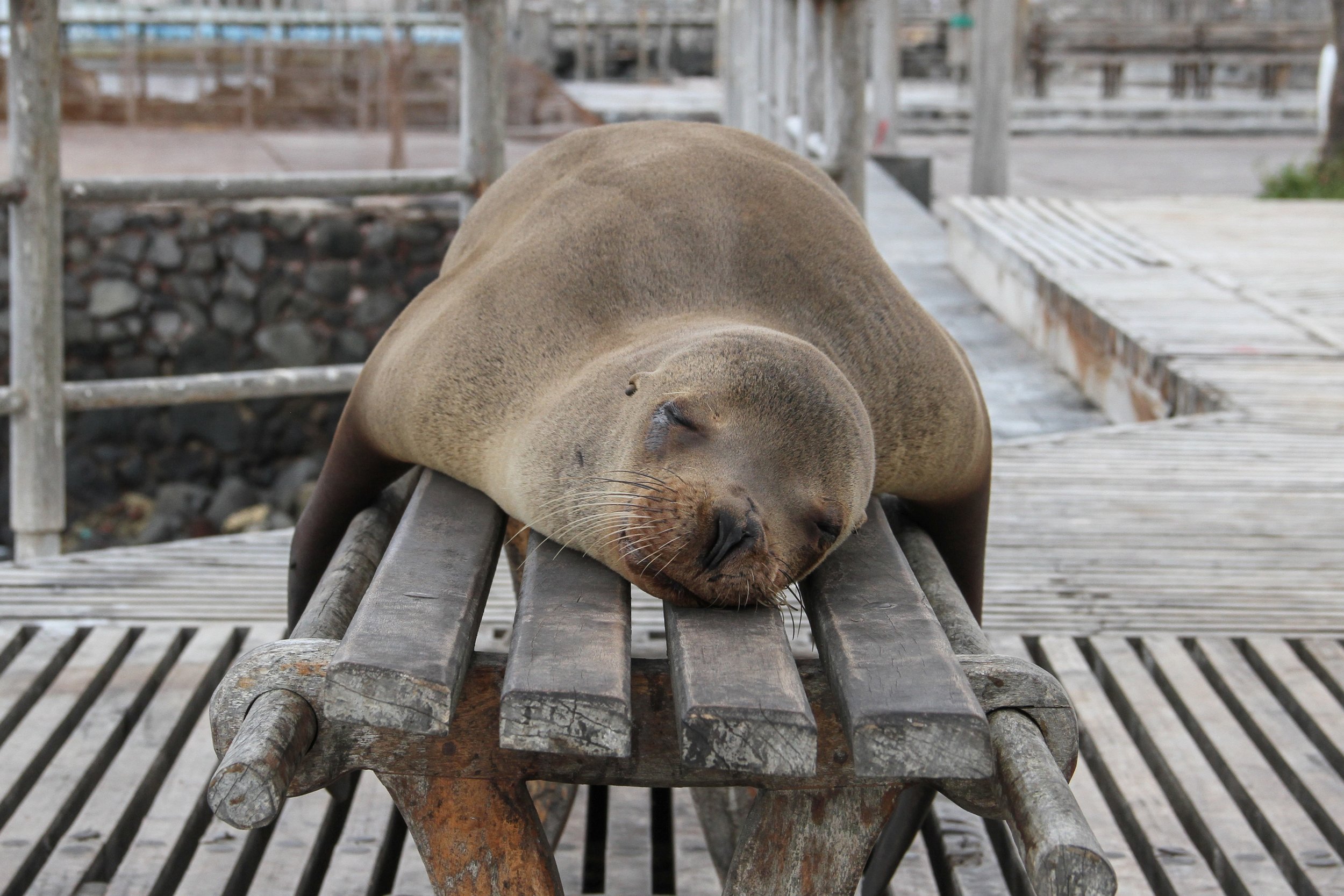Sleep Like A Baby