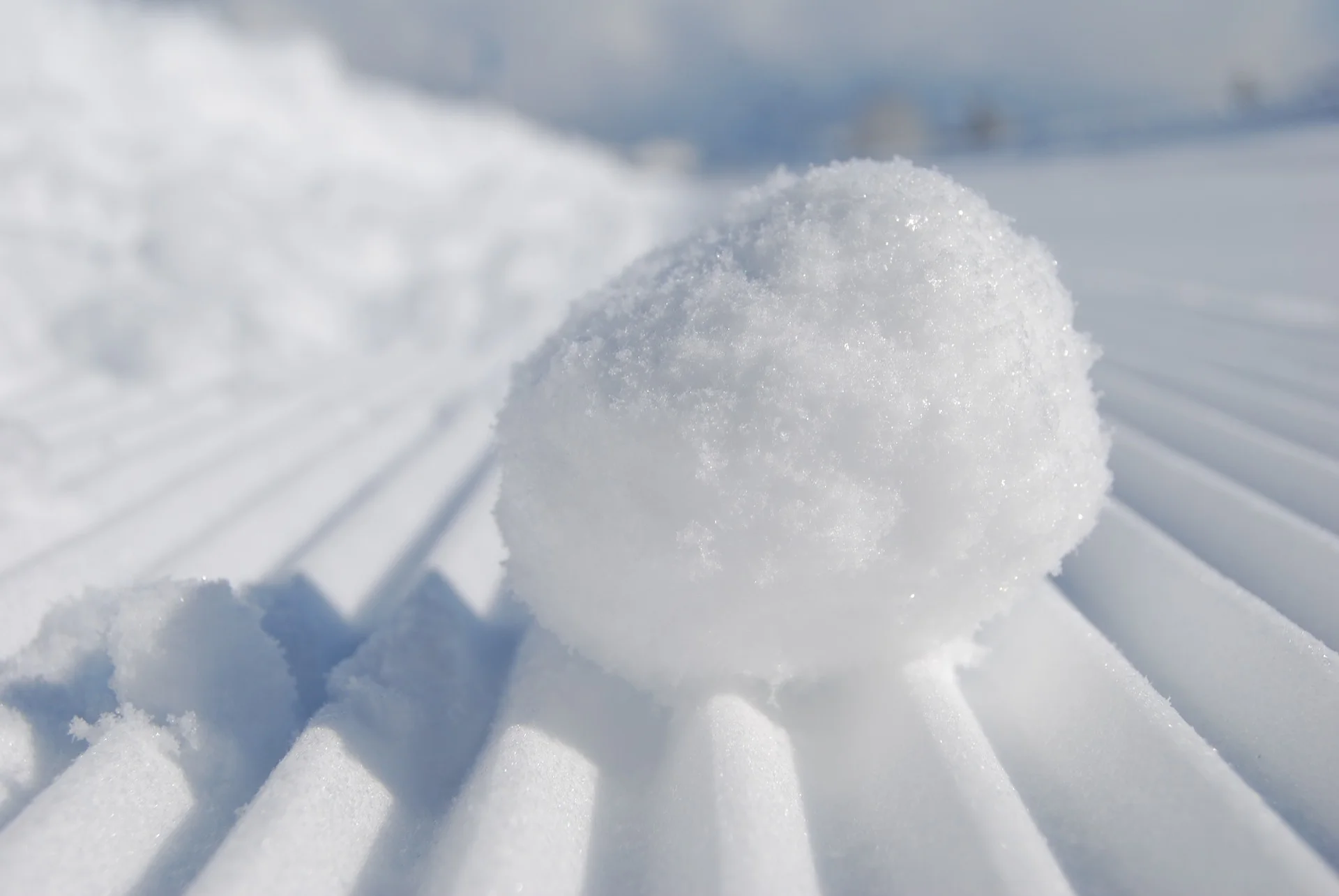 Stop the Snowballs