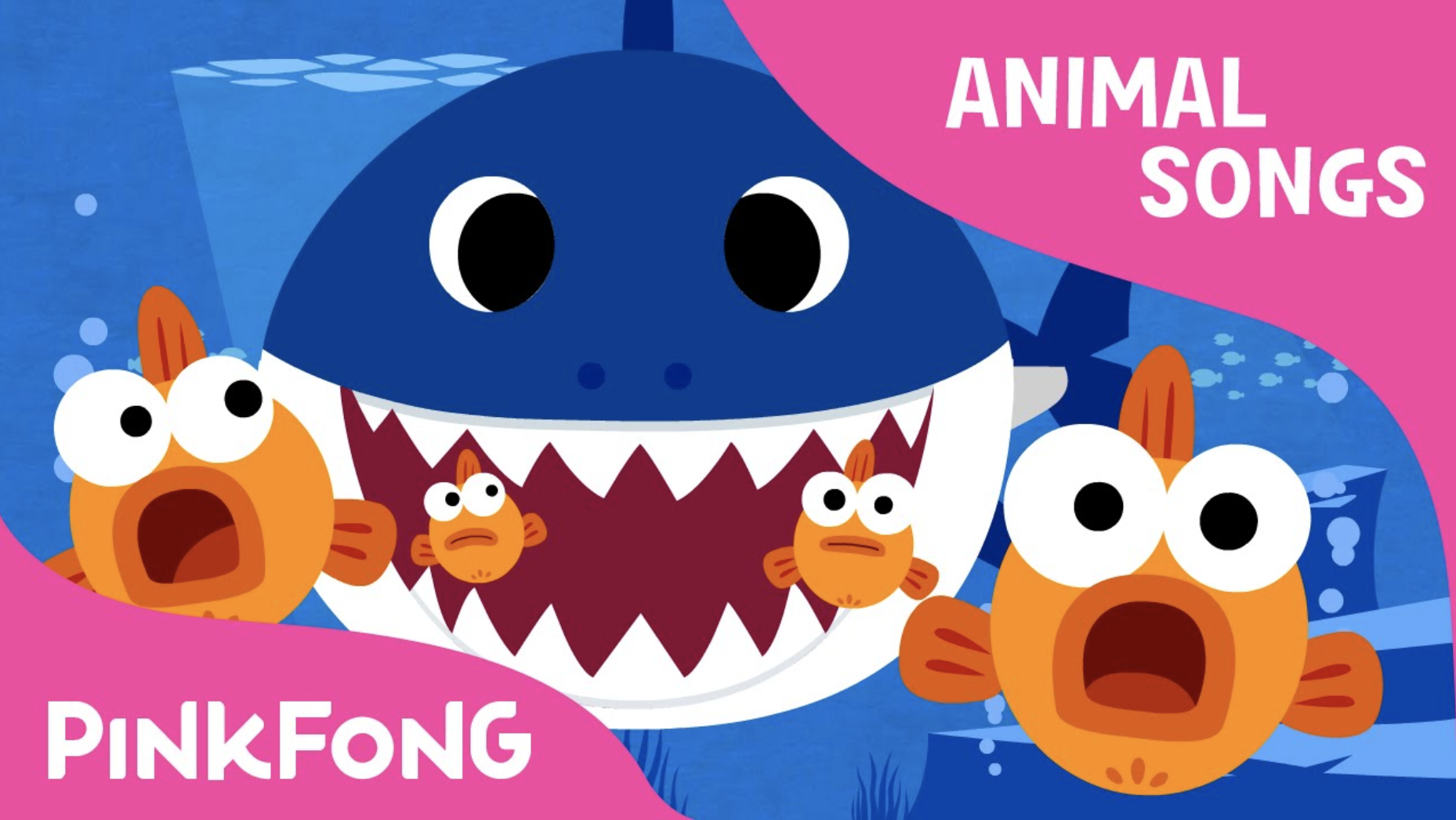 Daddy Shark...Doo doo doo doo doo doo