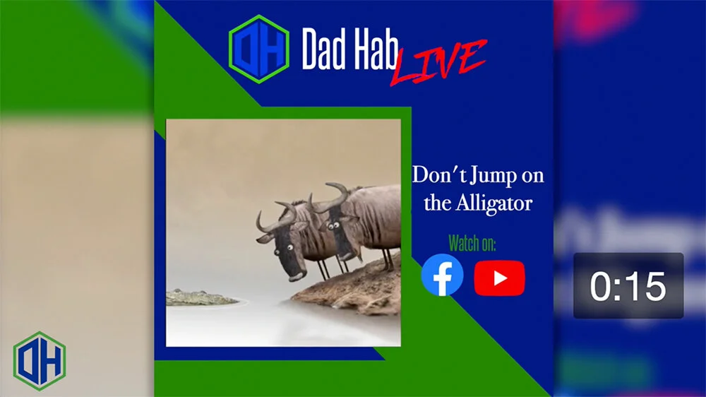 Dad Hab LIVE Shorts: Don't Jump on the Alligator