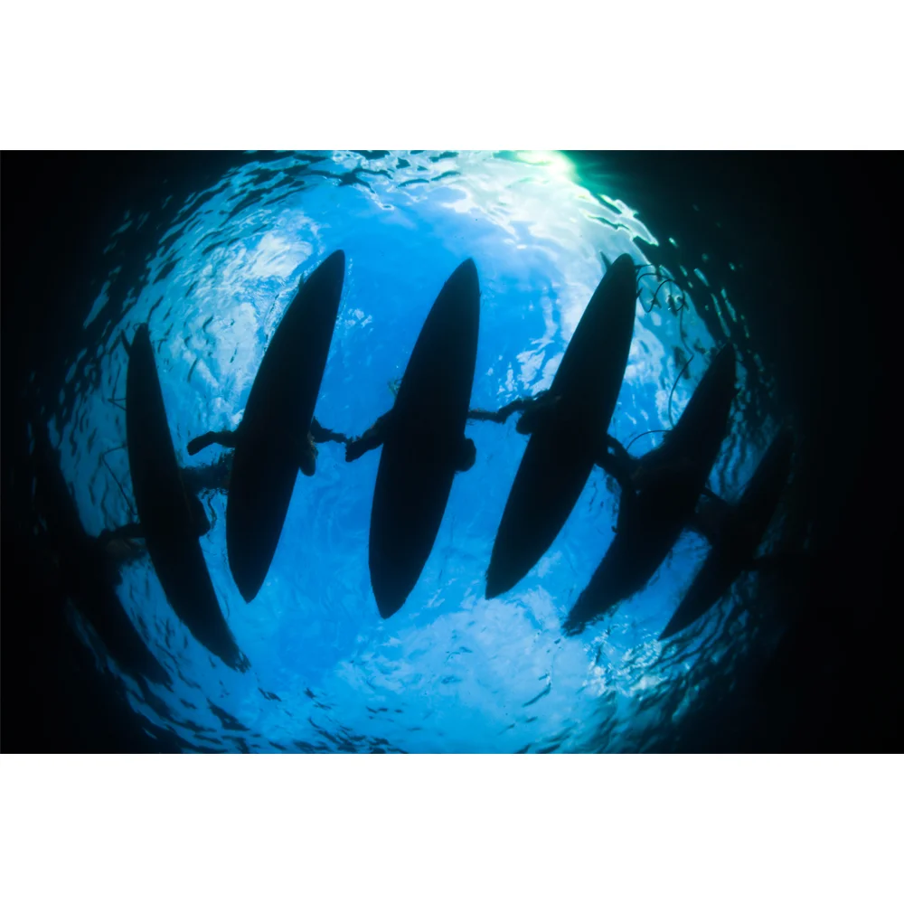 Eddie Aikau Ceremony