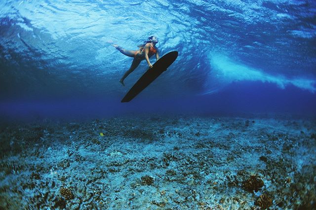 The ocean has always been my Puʻuhonua a place of sanctuary and the place where I feel deeply connected to my Hawaiian Culture. It is in my genealogy that my ancestors are of Moku o Keawe. Our sacred Mauna is connected to the ocean therefore I must p