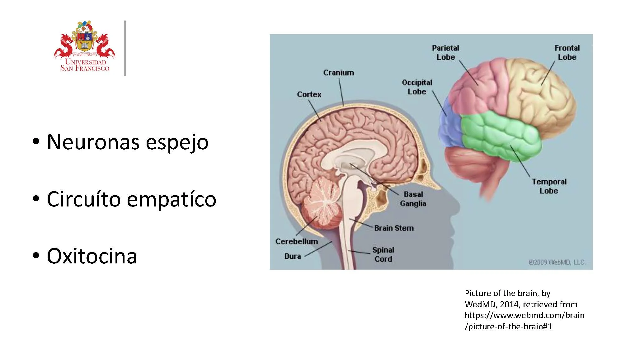 Emp_Page_09.jpg
