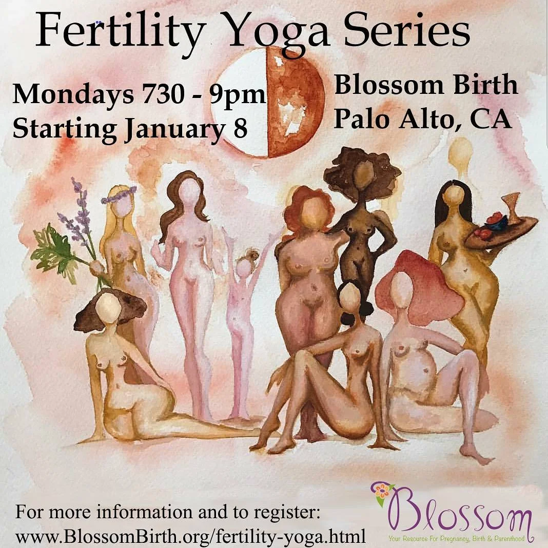 Fertility Yoga Program