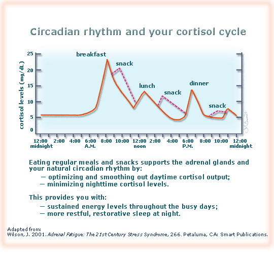 Is Your Adrenals Messing with Your Hormonal Health? Get Cortisol back into Circadian Rhythm!