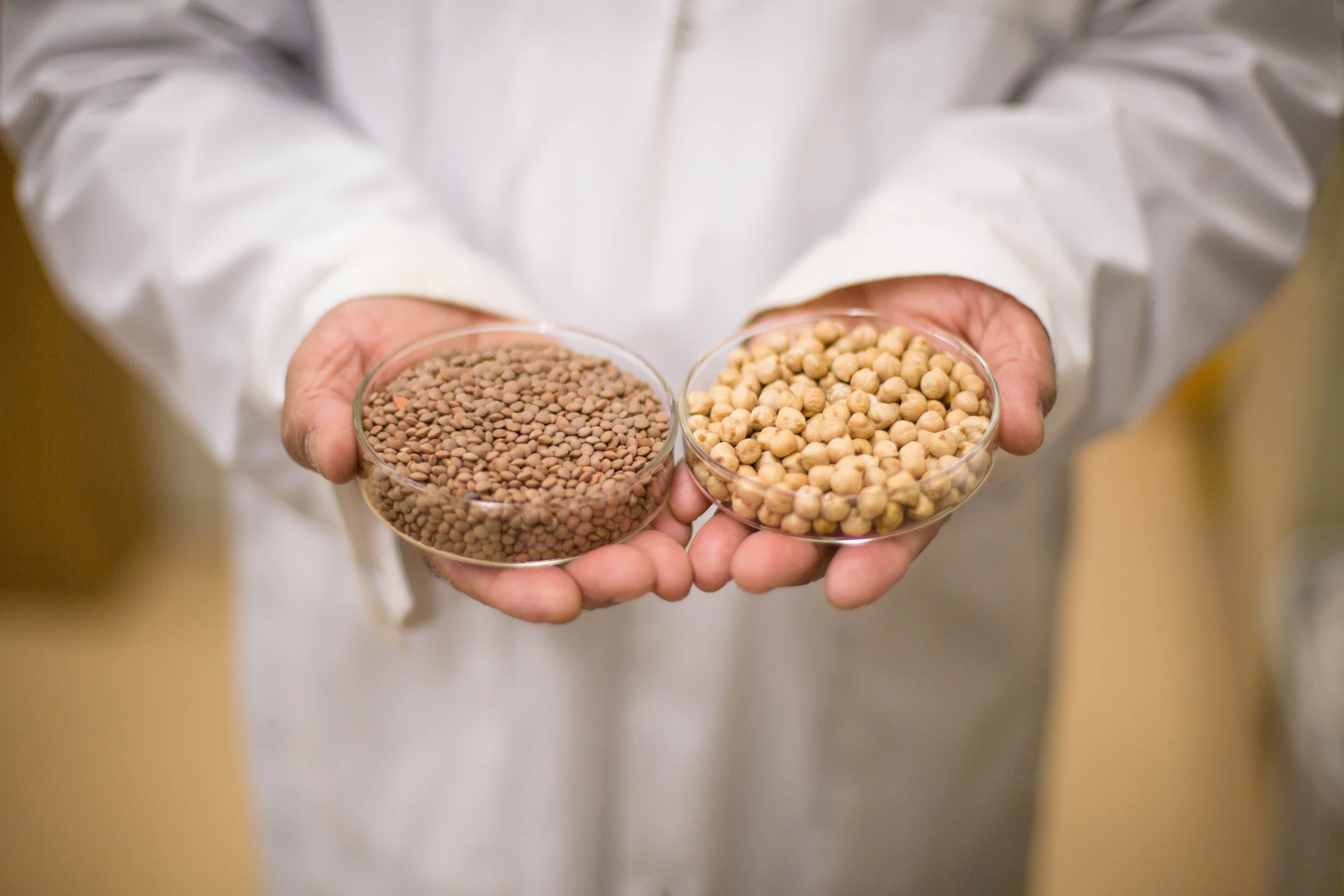 Quick cooking chickpeas use microwaves - but not how you'd expect