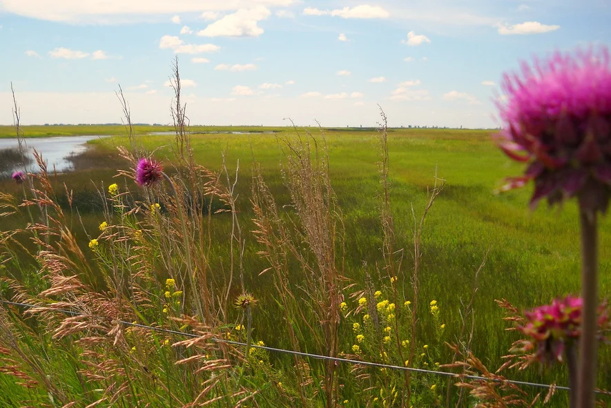 Advancements in uranium-driven energy