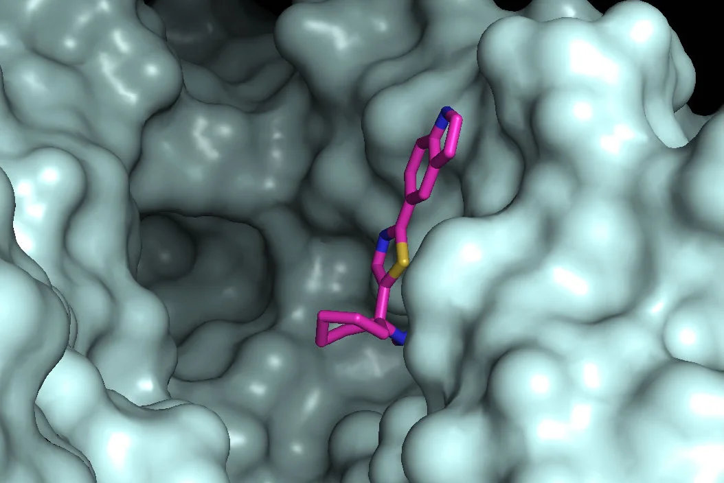 Blocking African sleeping sickness' tiny culprit