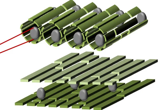 Nanoreactors mimicing plant cells