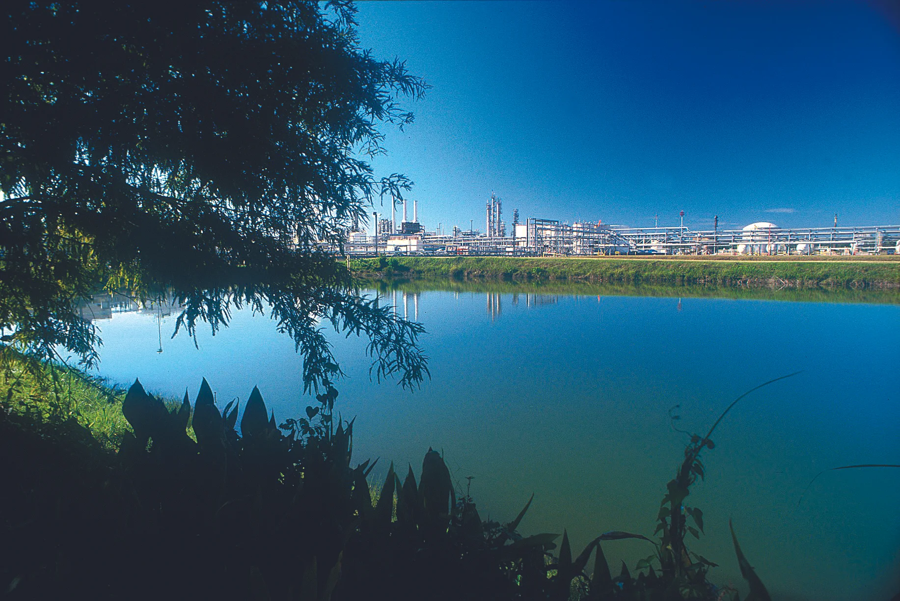 From plant matter to jet fuel