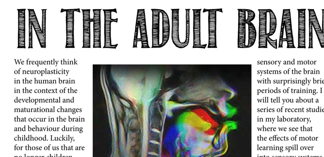 adult-brain-poster.png