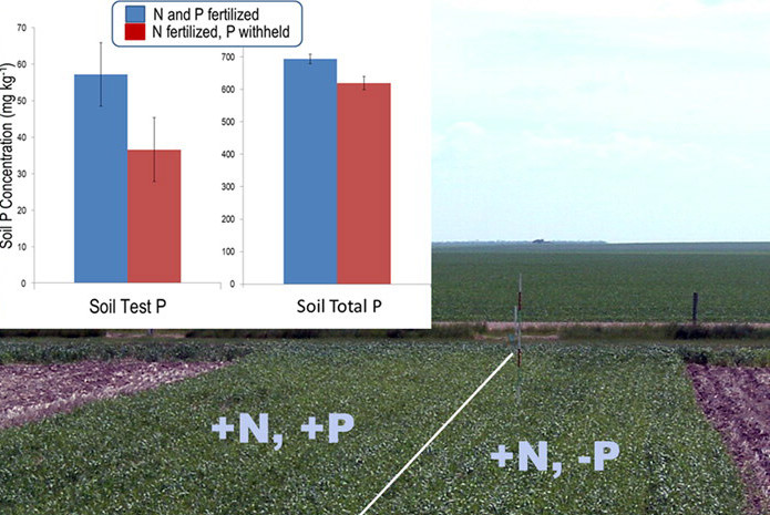understanding-legacy-phosphorus.jpg