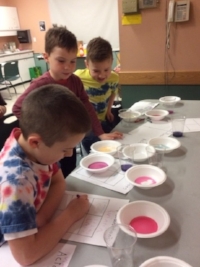 acid-base-test.jpg