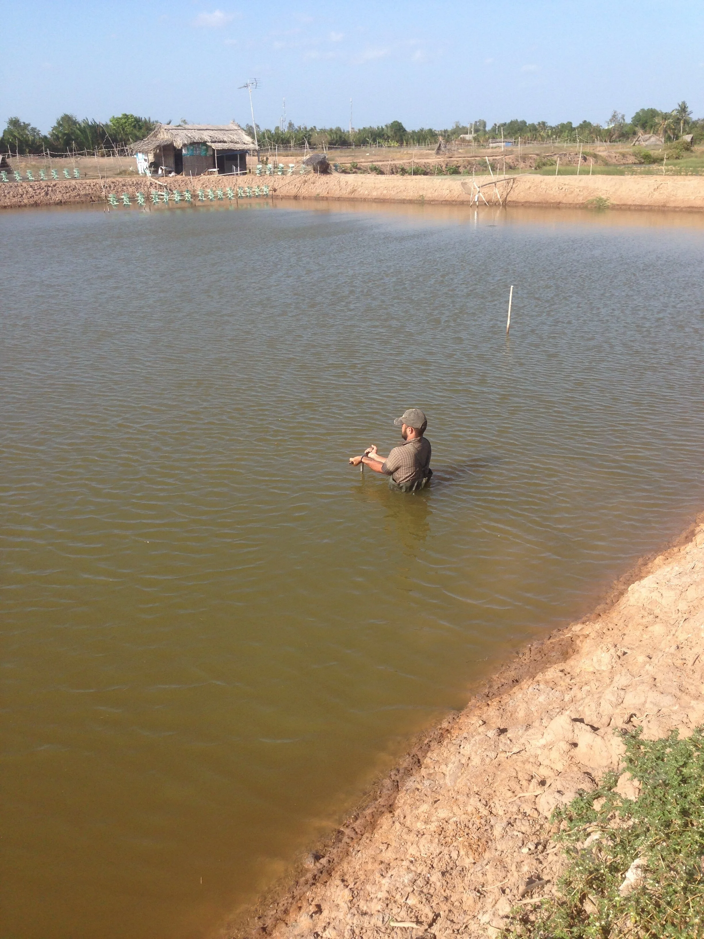 Jens Kruse collecting samples in a shrimp pond.