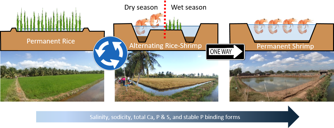 Alternating crops to help farmers.