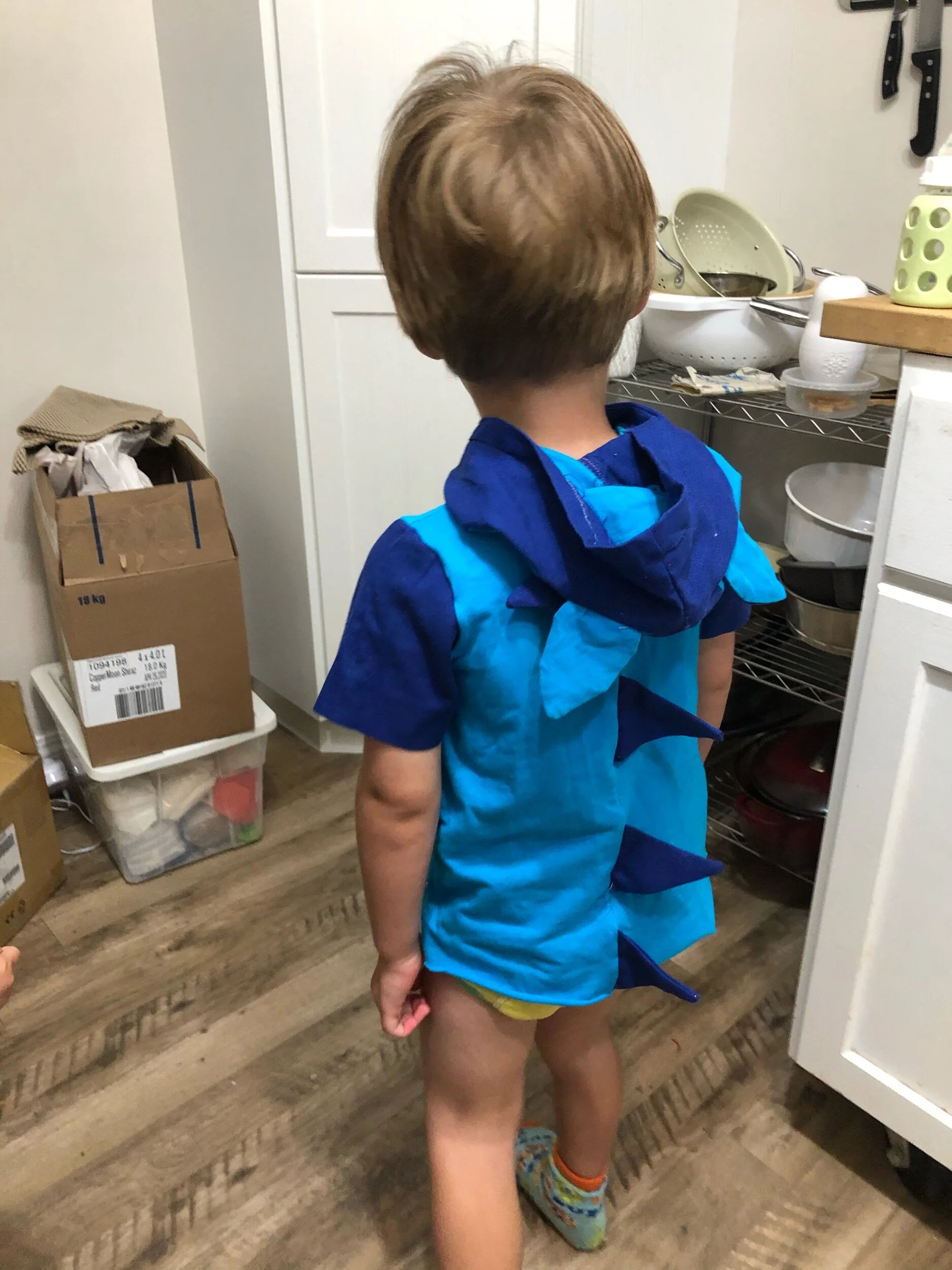 sonic the hedgehog sewing pattern