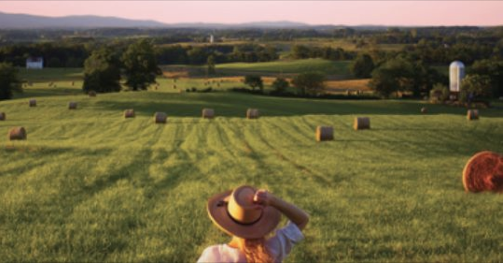 Sometimes Just The Sky Summer Tour Supports Announced