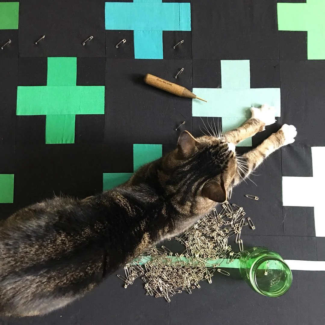 Piper the Cat Testing a Quilt at Hello, Quilting!