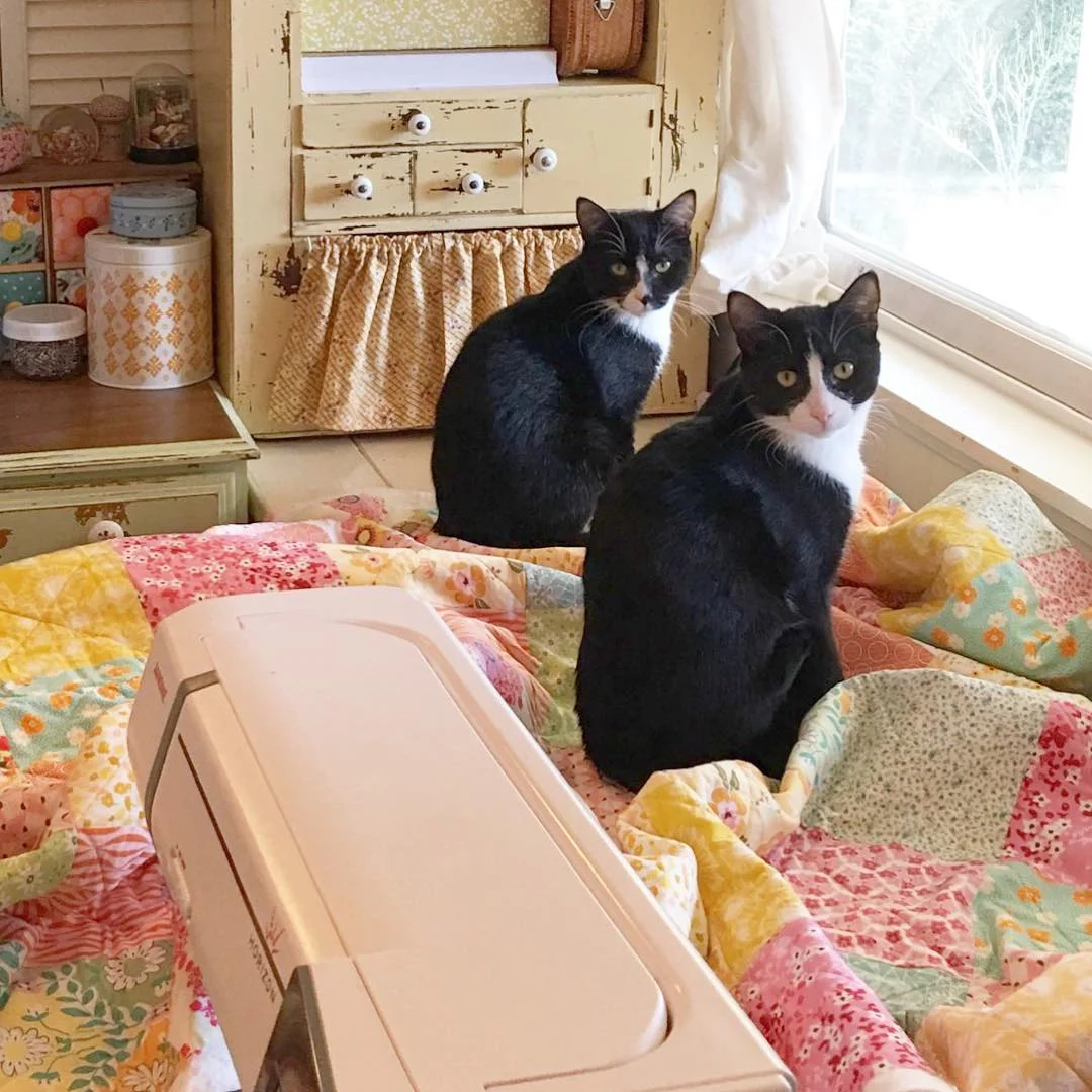 Resident Quilt Inspectors Thing One and Thing Two via www.helloquilting.com