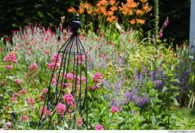 June Blooms in the Pacific Northwest