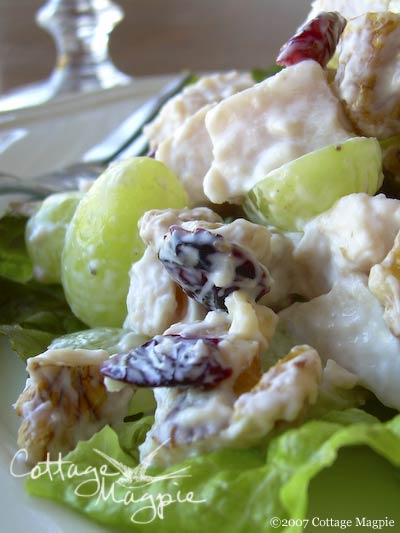Turkey Salad with Dried Cranberries Recipe