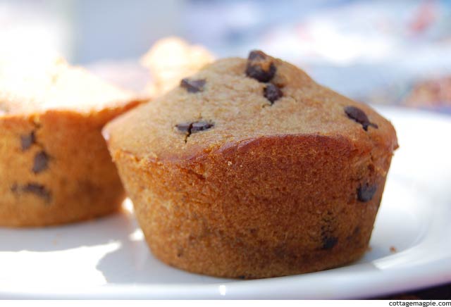 Vegan Whole Wheat Chocolate Chip Muffin Recipe