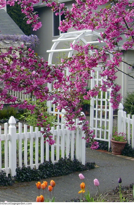 Choosing the Right Arbor for a Front Garden Entry