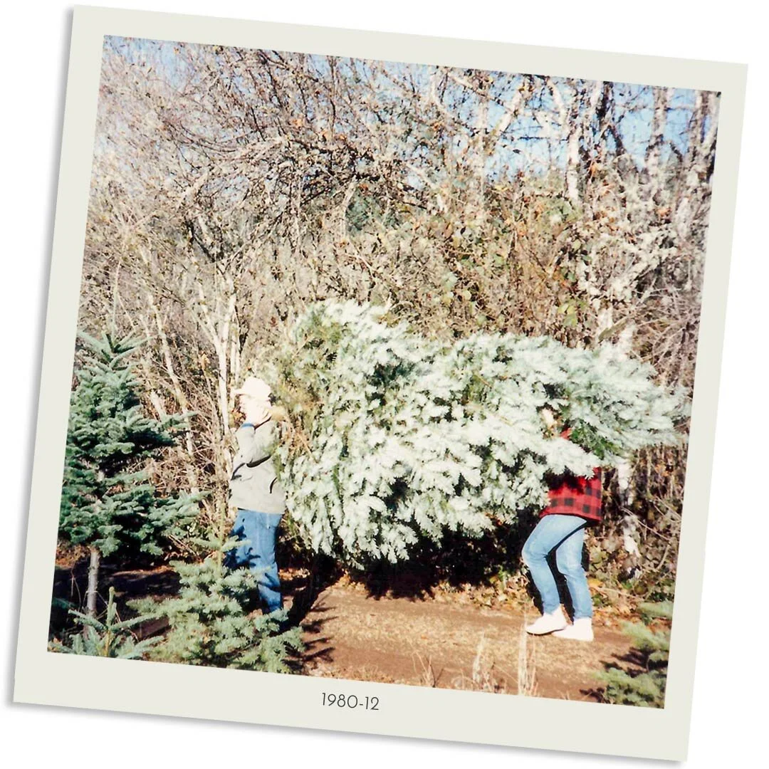 Three Things Thursday No. 3: Simple Holiday Fun