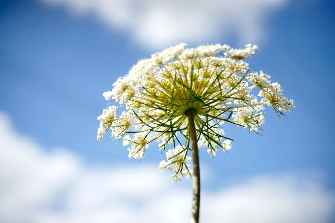 Photo by Laura Rivera on Unsplash via www.angelamaywaller.com