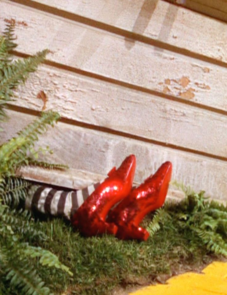 449593a39980fec6a870a23ec3ee6190--ding-dong-ruby-slippers.jpg