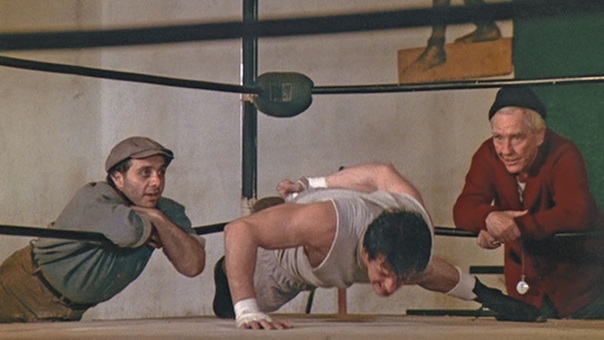 Rocky-OAPU.jpg