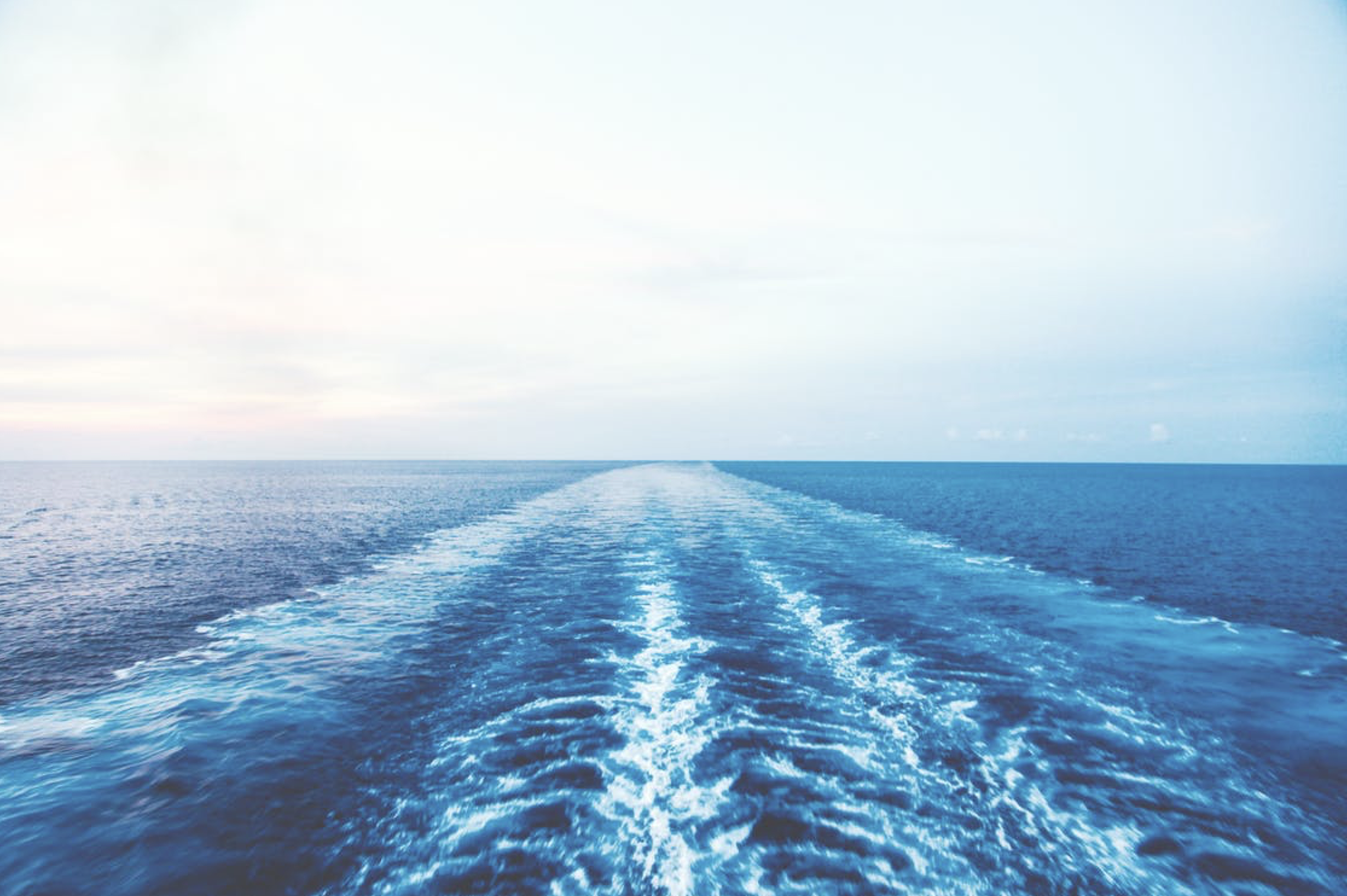 Contact TR Marine Services.png