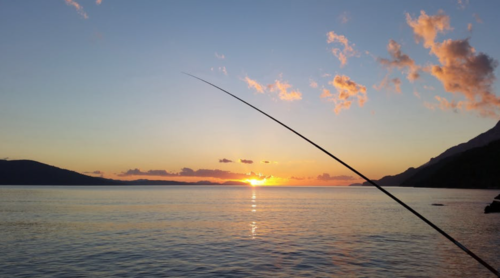 5 Features Your Fishing Rod Should Have If You Want To Fish In