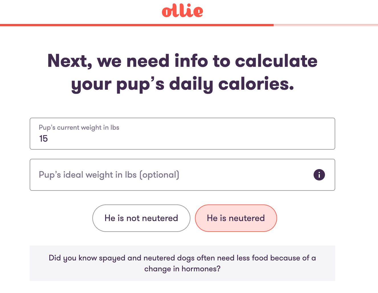 ollie dog food