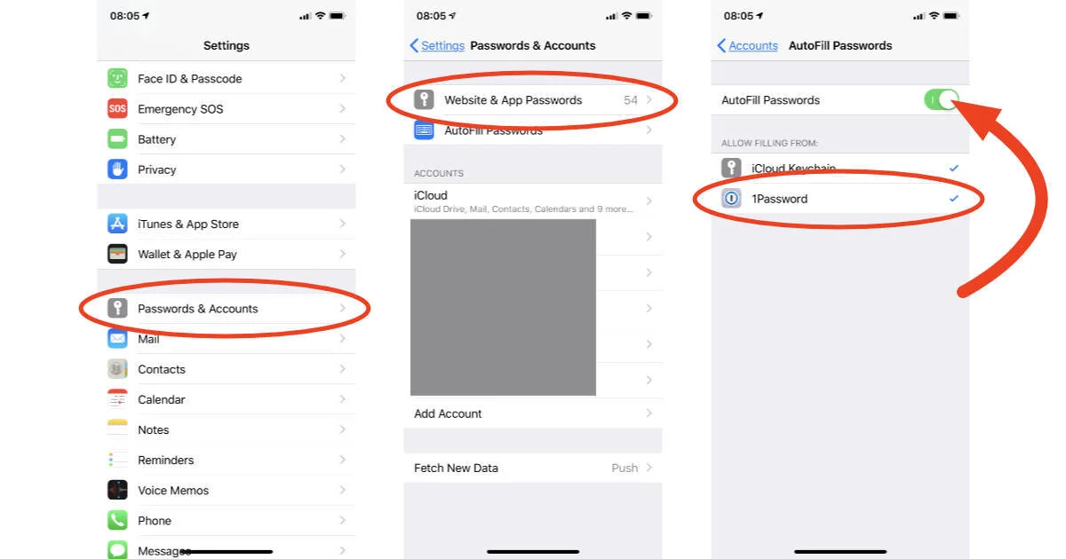 1password-ios-autofill.jpeg