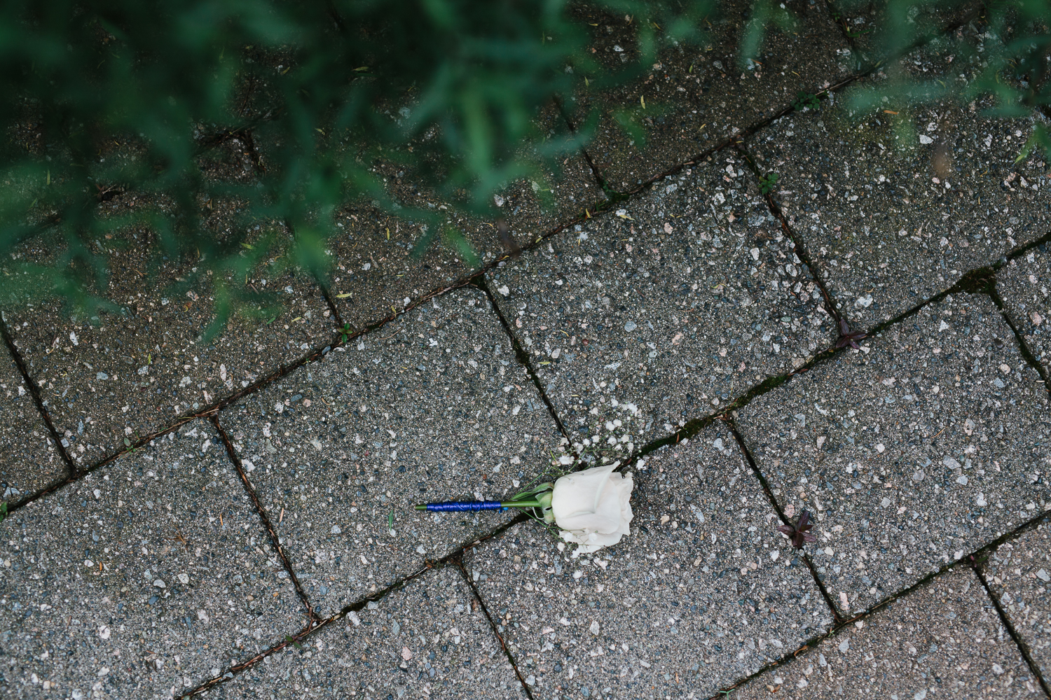 Askew-Blog-10.jpg