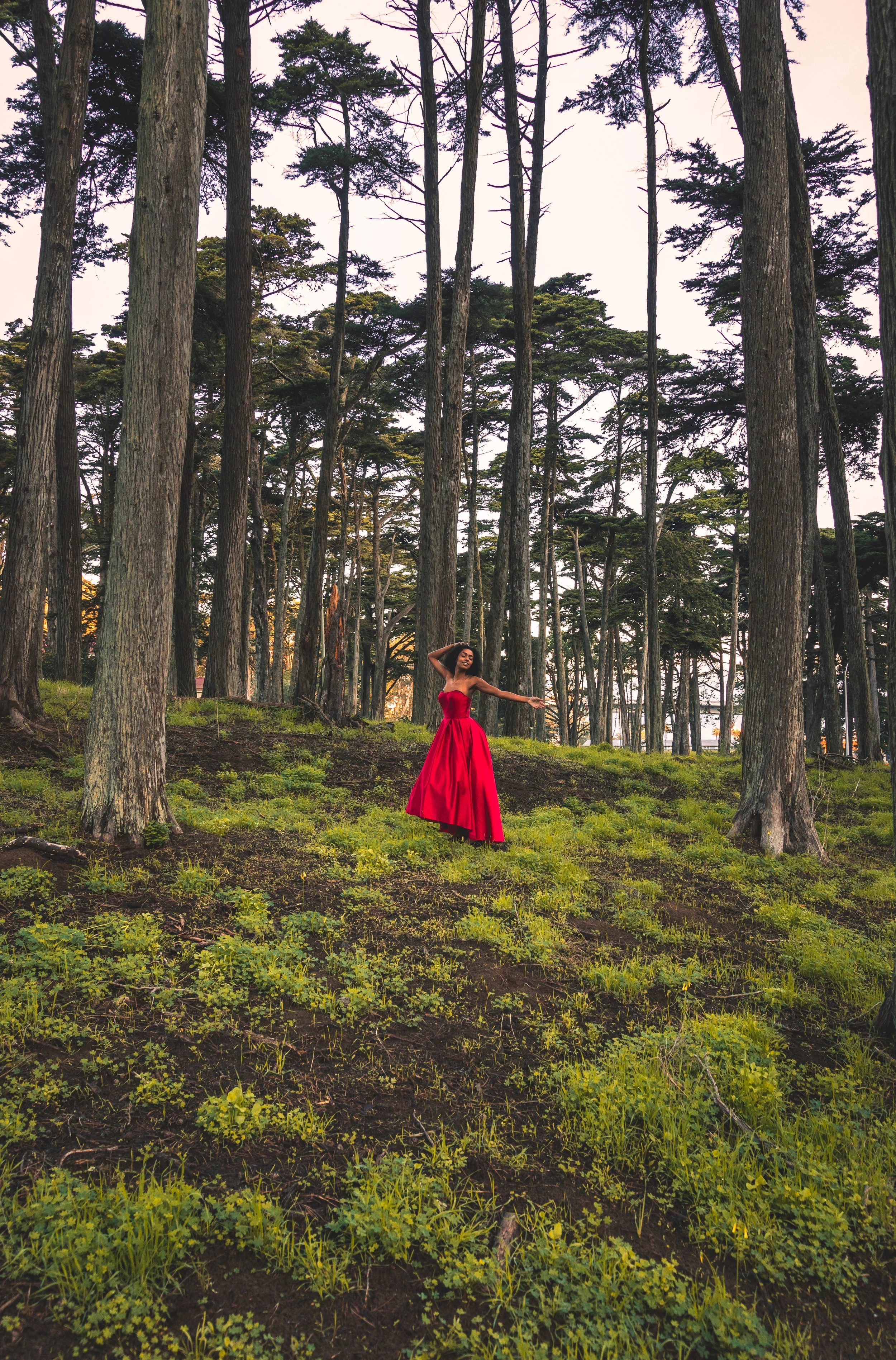 Brandon red dress series 20.jpg