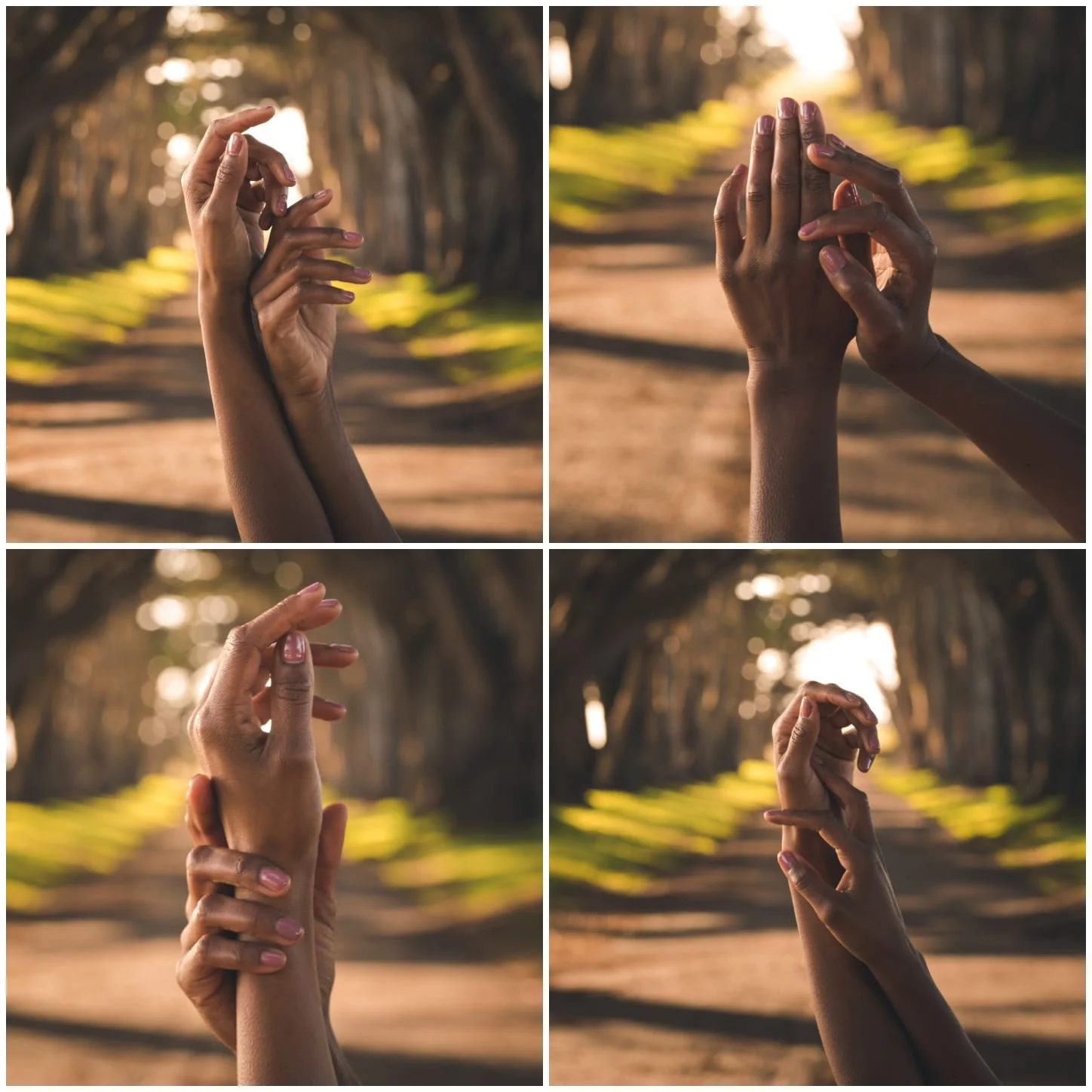 WhatsApp Image 2019-08-19 at 9.48.32 AM.jpeg